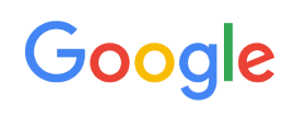 Google Individual 100 x40